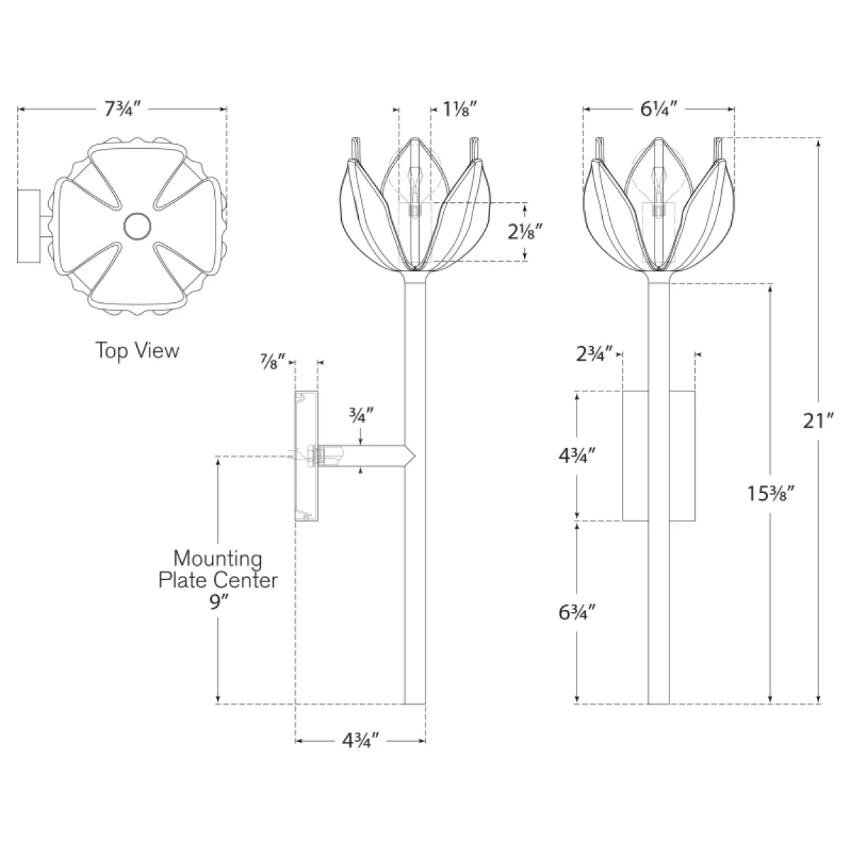 Alberto Medium Sconce - Image 3