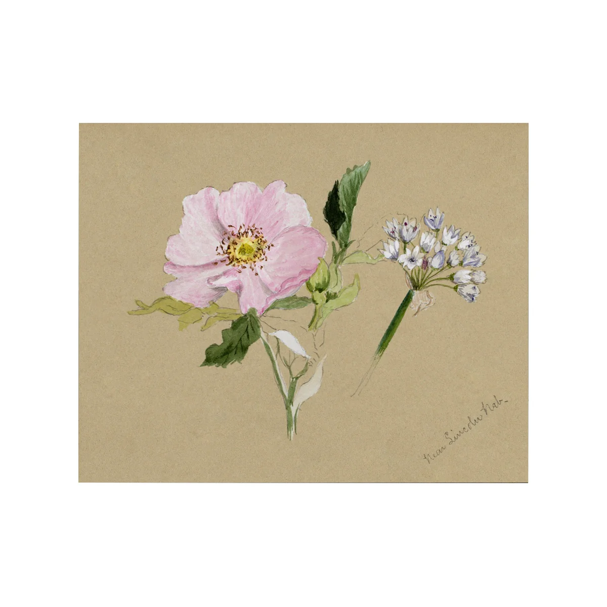 Floral Buds - Unframed Art Print - Image 2