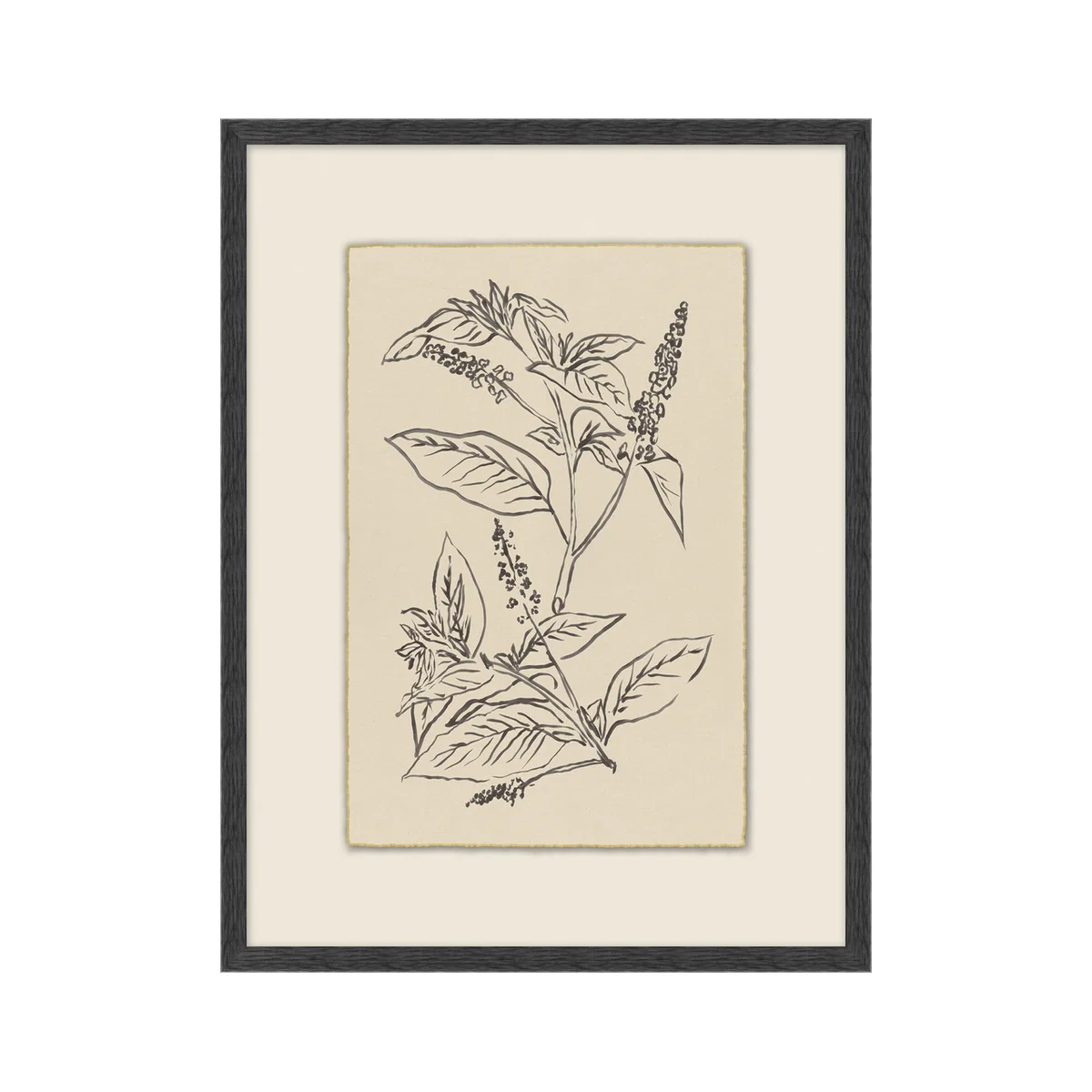 Garden Drawing No. 01