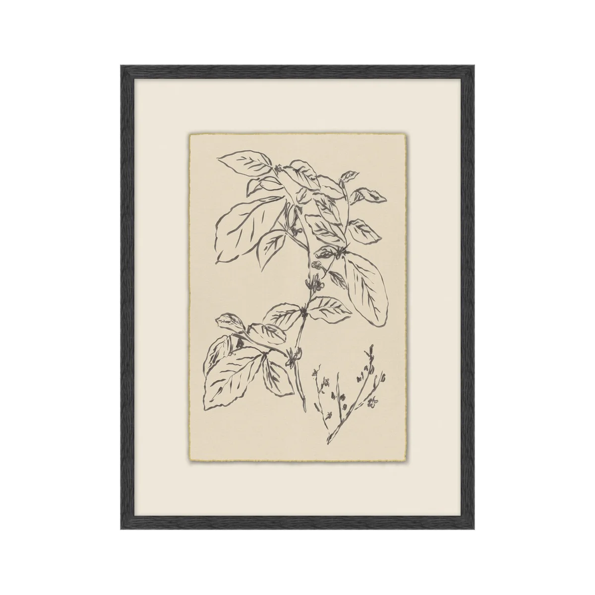 Garden Drawing No. 04
