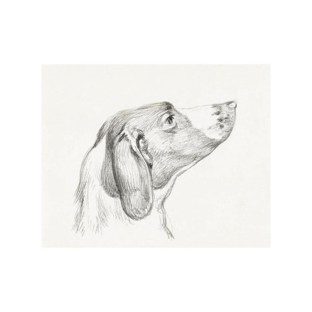 Hound - Unframed Art Print - Image 2