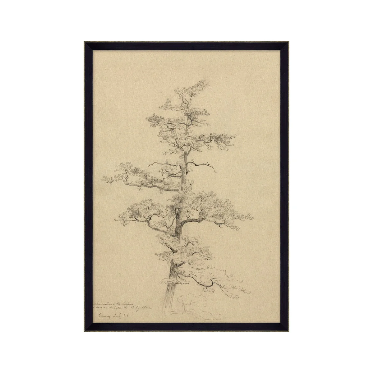July Pine Tree Framed Artwork
