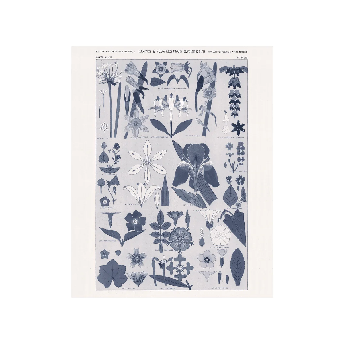 Leaves & Flowers - Unframed Art Print - Image 2
