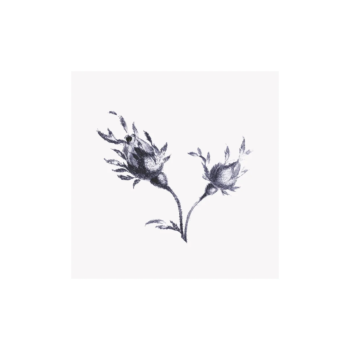 Liberty Buds - Unframed Art Print - Image 2