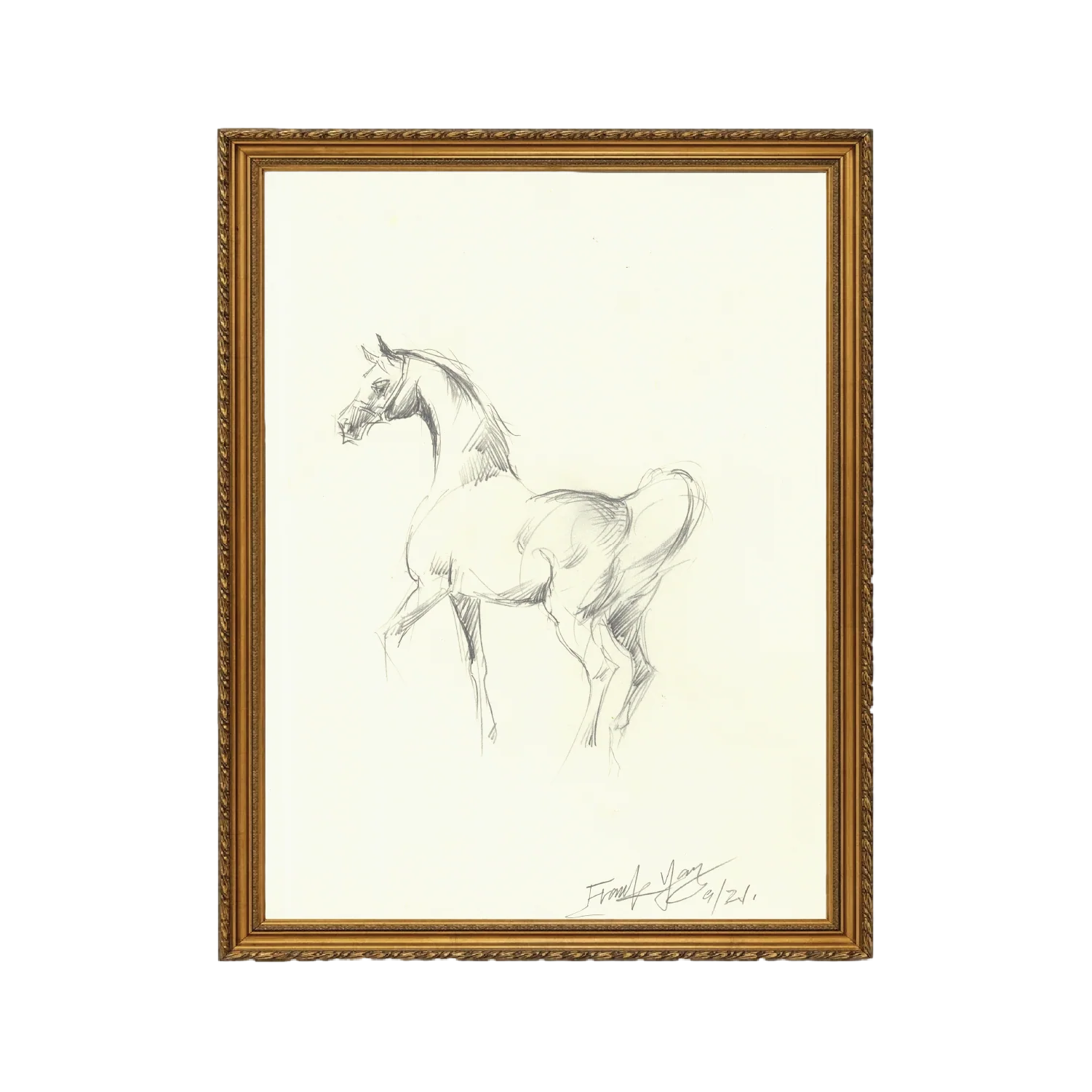 Mare Sketch - Unframed Art Print