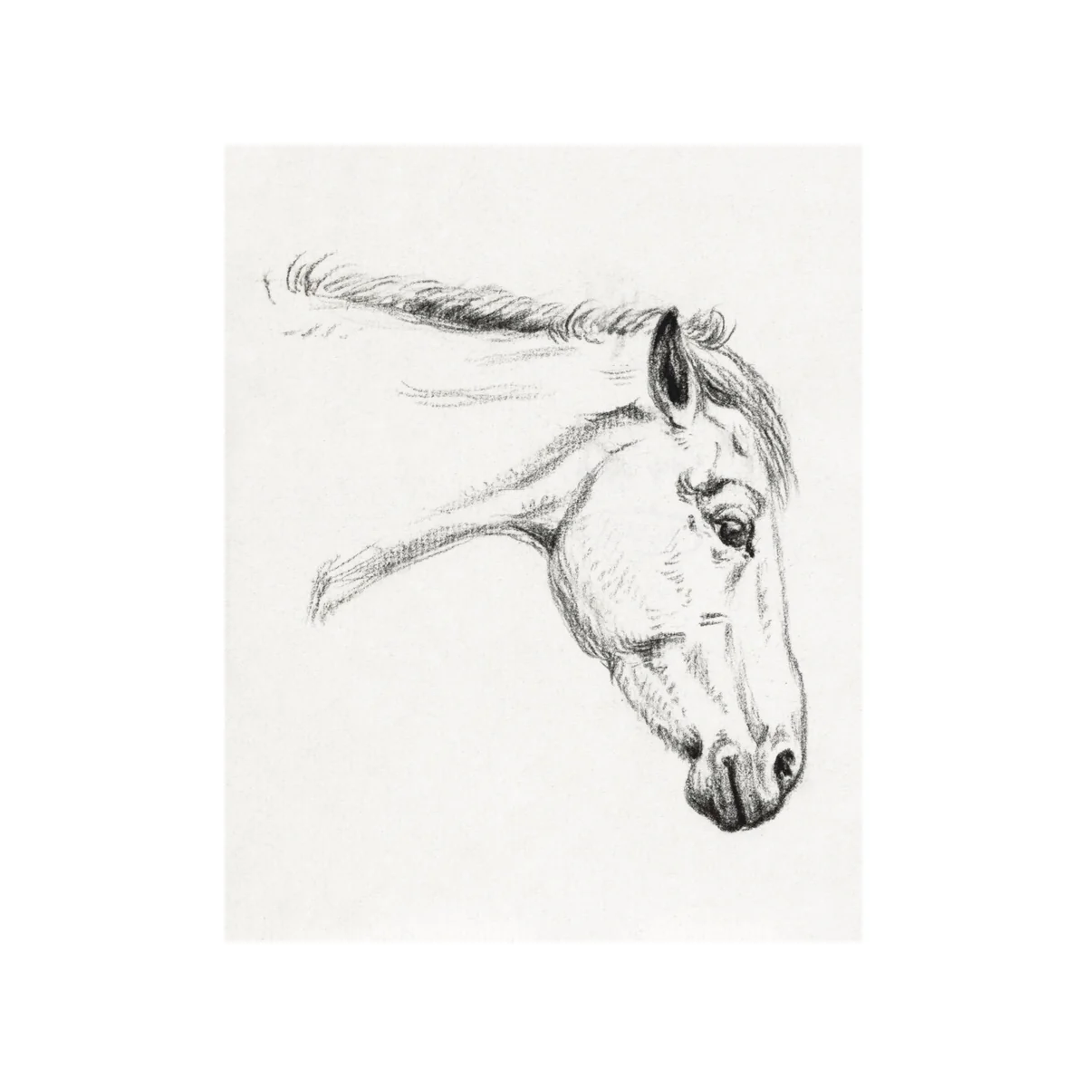 Mare - Unframed Art Print - Image 2