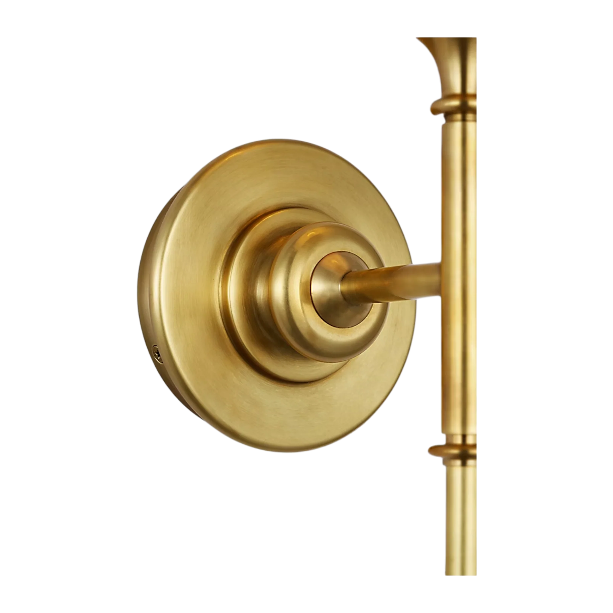 Piaf Large Tail Sconce - Image 7