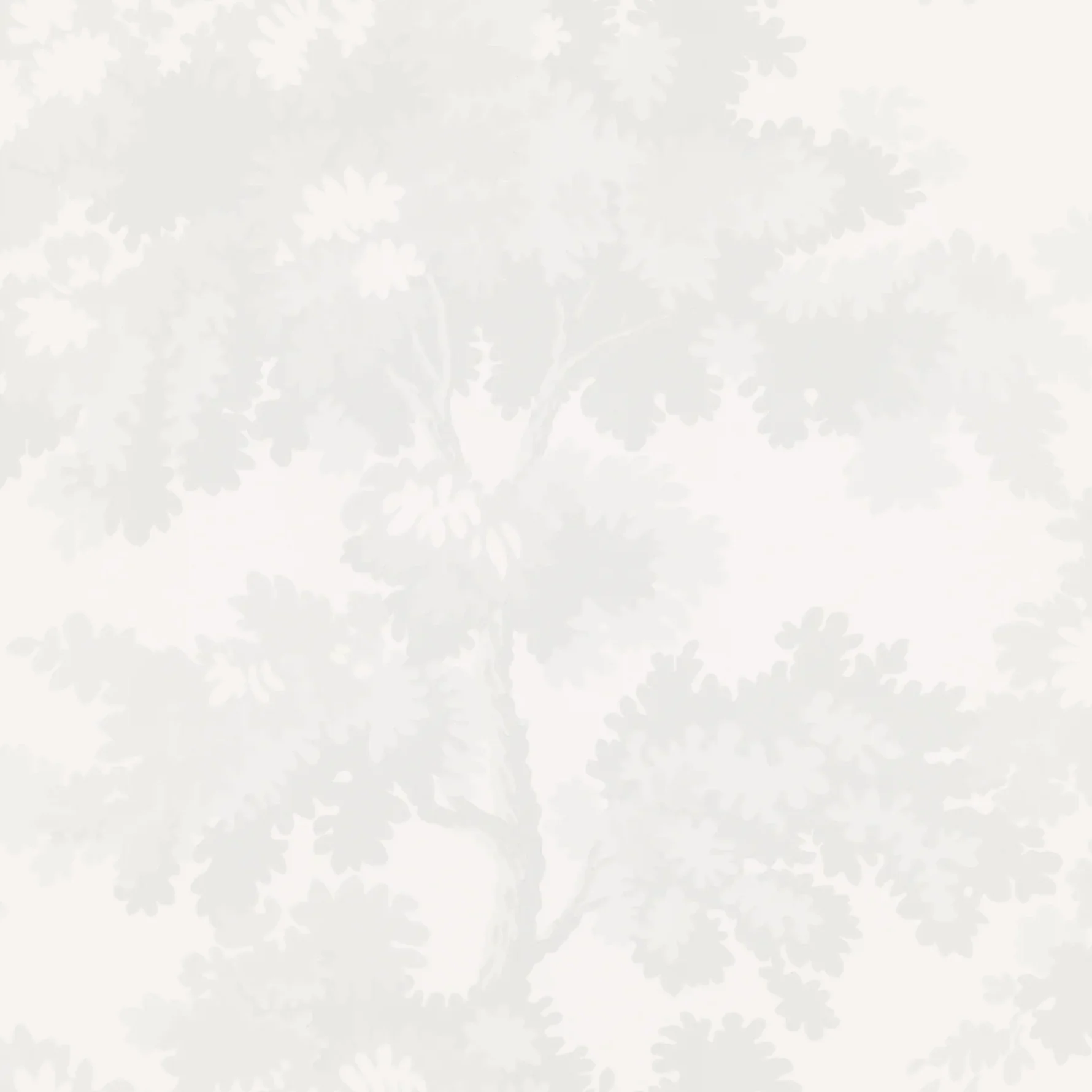 Raphaël Wallpaper - Image 3