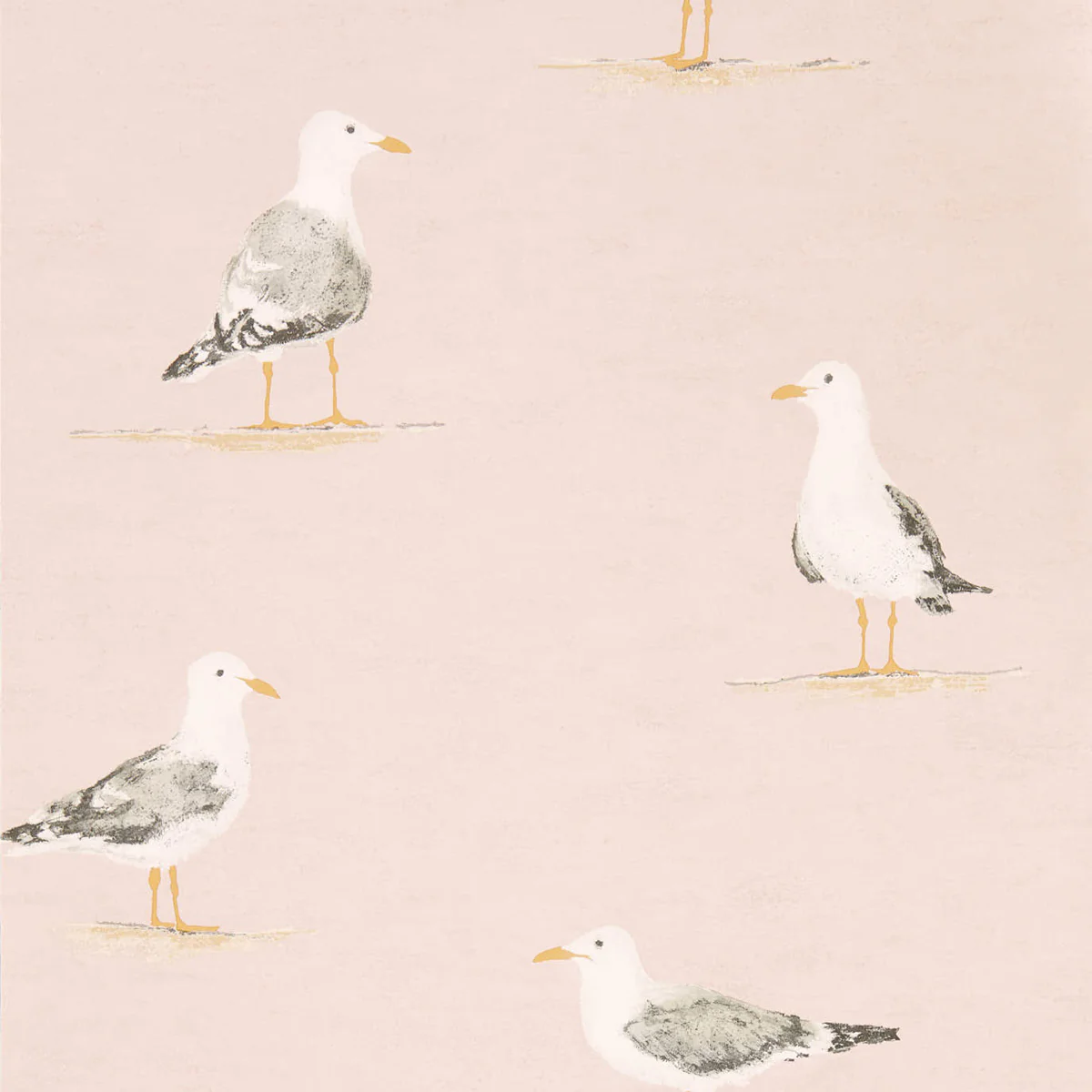 Shore Birds Wallpaper - Image 4