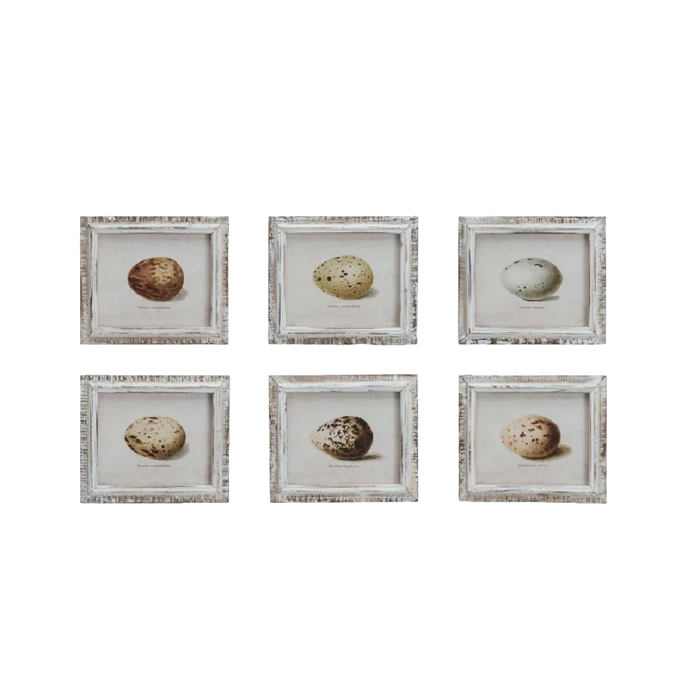 Speckled Eggs Framed Artwork