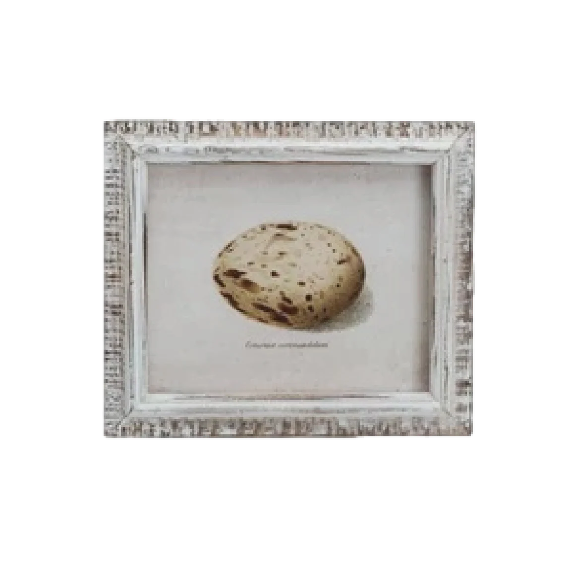 Speckled Eggs Framed Artwork - Image 6